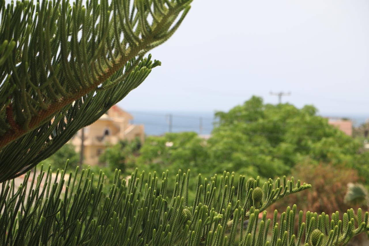 Andriana Apart otel Agios Georgios  Dış mekan fotoğraf